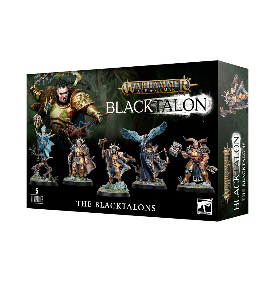 The Blacktalons - Stormcast Eternals: Warhammer Age of Sigmar - Image 6
